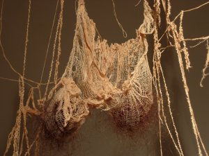 DETAIL OF SINEW &amp; GANGLIA